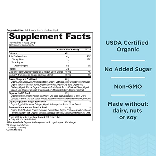 Ancient Nutrition Supergreens Powder, Organic Superfood Powder with Collagen Ancient NutritionBuy Supplements Australia