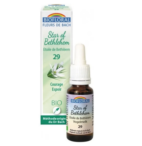 Fleur de Bach BIO Star of Bethlehem (Etoile de Bethlehem) Flacon 20 ml BIOFLORAL