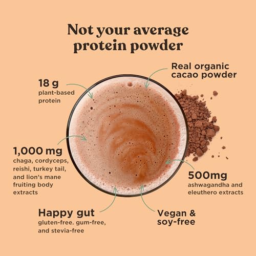 Four Sigmatic Organic Plant-Based Protein Powder Creamy Cacao Protein with Lion’s Mane Four SigmaticBuy Supplements Australia