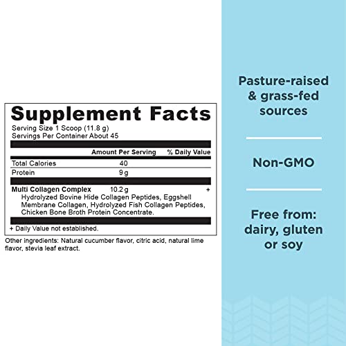 Ancient Nutrition Collagen Powder Protein, Multi Collagen Protein, Cucumber Lime, Hydroly Ancient NutritionBuy Supplements Australia