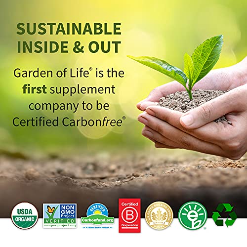 Garden of Life Raw Organic Fit Vegan Protein Powder Vanilla, 28g Plant Based Protein Garden of LifeBuy Supplements Australia