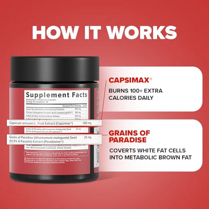 Inno Shred - Day Time Fat Burner | 100mg Capsimax, Grains of Paradise, Organic Caffeine InnoSuppsBuy Supplements Australia