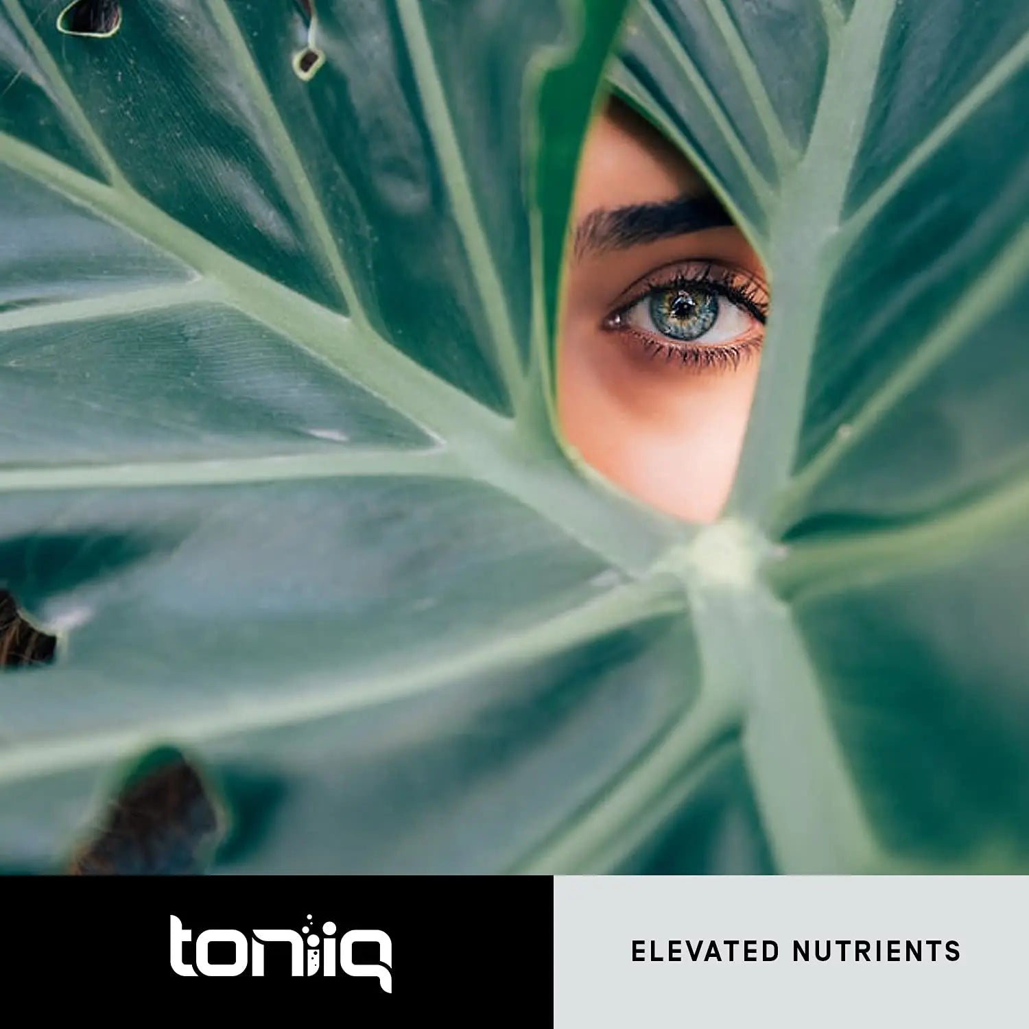 Toniiq Ultra High Purity Resveratrol Capsules - 98% Trans-Resveratrol - Highly Purified and Bioavailable - 180 Caps Reservatrol Supplement Toniiq buy supplements Au
