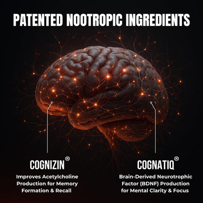 FOCUS + THINK Nootropic Brain Supplement Bundle - Energy, Memory & Focus Support - Caffeine + Caffeine-Free Cognitive Stack with Lion's Mane, Bacopa, Citicoline & L-Theanine - 2 Bottles (90 + 90 Capsu HUMBLEROOTS PERFORMANCE buy supplements Au