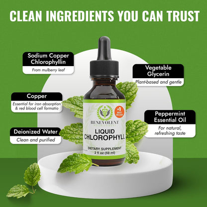 Benevolent Nourishment Chlorophyll Supplement, Detox & Immune Support, Internal Deodorizer, Liquid Drops