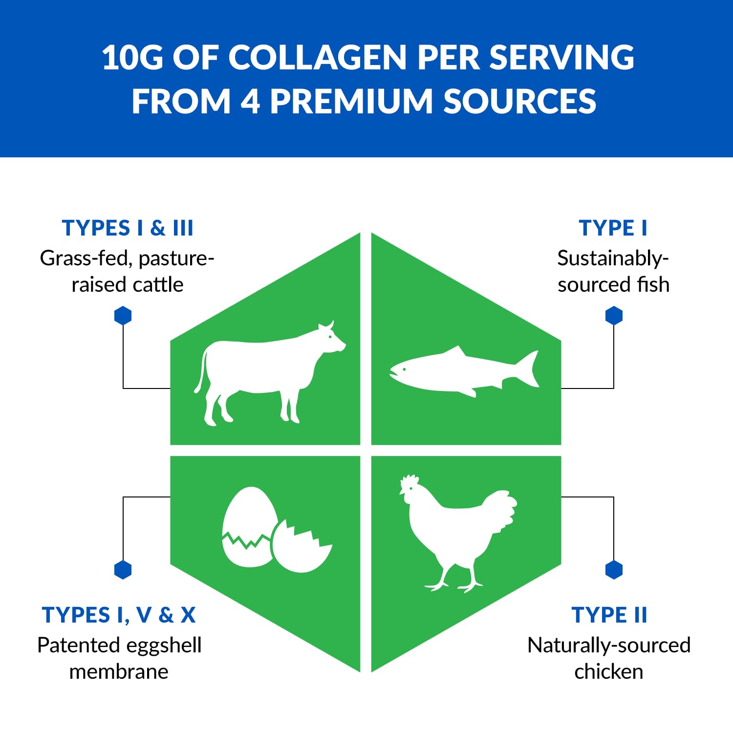 BioTrust Multi-Collagen Protein Powder + Keto MCT Oil – 5 Collagen Types Plus 100% BioTrustBuy Supplements Australia