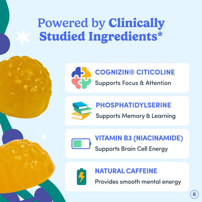FIRST DAY Men’s Daily Nootropic Brain Supplement Gummies for Focus, Memory & Mental Energy | with Cognizin® Citicoline, Phosphatidylserine & Natural Caffeine | Vegan, Allergen-Free | 30-Day Supply FIRST DAYBuy Supplements Australia