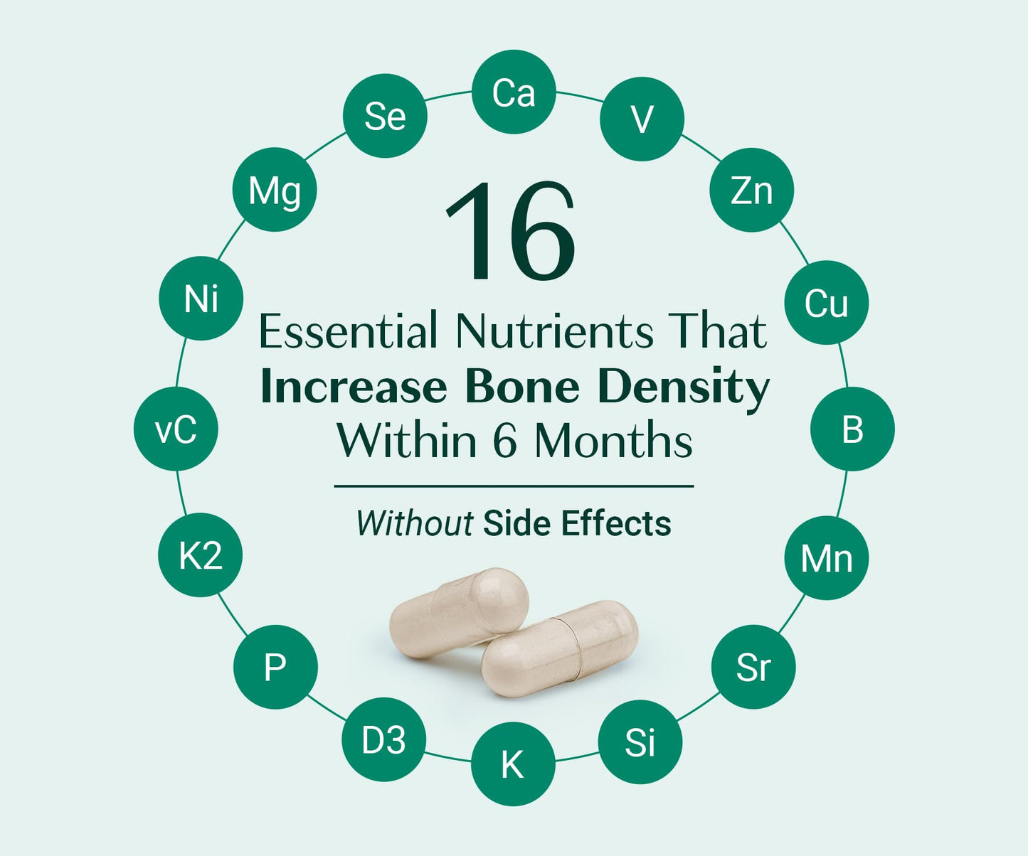 ALGAECAL Bone Builder Pack - Plant Based Calcium Supplement & Strontium - Organic Calcium 750mg with Vitamin D3 1600 IU, Vitamin K2, Magnesium