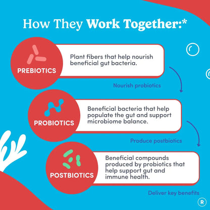 FIRST DAY Teens’ Gut Sustainer Tribiotic Gummies – 3-in-1 Prebiotic, Probiotic & Postbiotic Supplement – Supports Digestive, Skin, Oral & Immune Health, Nutrient Absorption & Growth – 30-Day Supply FIRST DAYBuy Supplements Australia