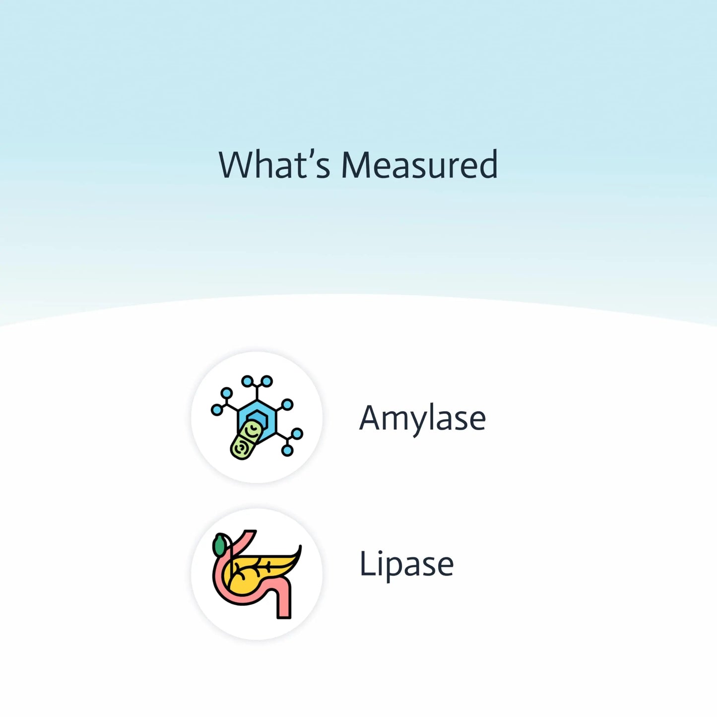Pancreatic Function Test | 2-in-1 at-Home Test | Amylase | Lipase | Cap & CLIA Accredited Testing | Not Testable in NY & RI Choose HealthBuy Supplements Australia