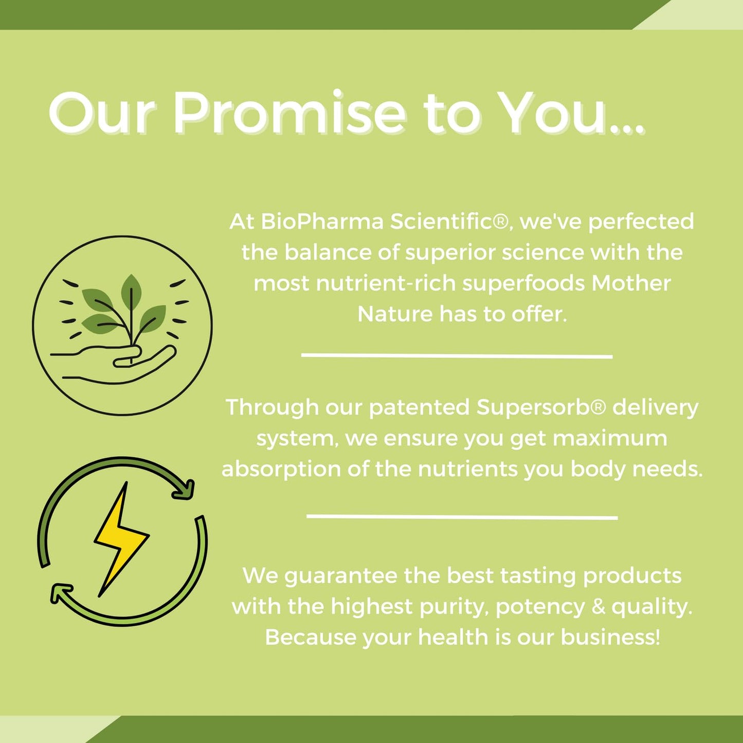NanoMeal Plant-Based All-in-One Nutrition | Superfood Meal Replacement Powder | Tropical Fruit Blend | 10 Servings | Protein, Greens & Omega for Gut & Immune Support Biopharma Scientific buy supplements Au