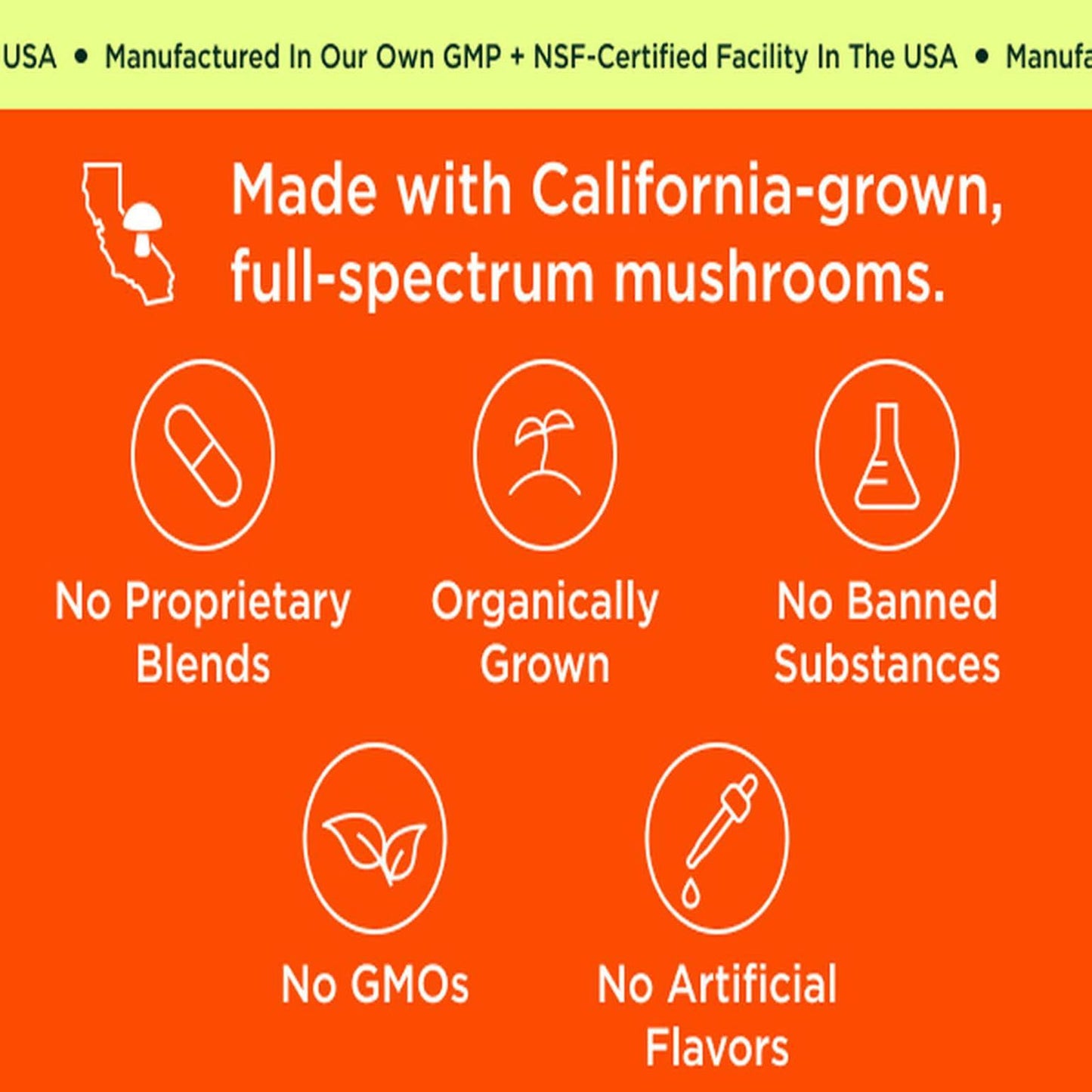 The Genius Brand Organic Mushroom Coffee + Collagen - Daily Energy Support - Healthy Immune Function - Arabica Coffee with Cordyceps, Reishi & Lion's Mane Mushroom Blend - 10.6 oz (30 Servings) The Genius BrandBuy Supplements Australia