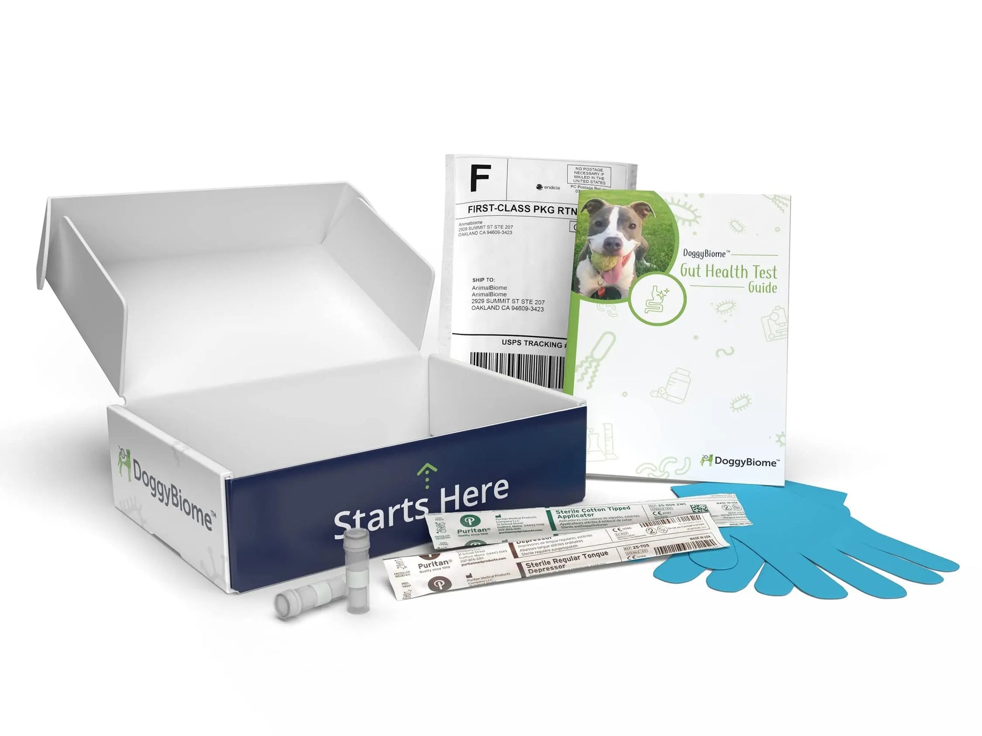AnimalBiome Dog Gut Health Test – DoggyBiome At Home Stool Testing Kit, Canine Fecal Analysis for Digestive Issues, Diarrhea & Allergy Insights w/Personalized Report & Custom Plan (Dogs in US) AnimalBiomeBuy Supplements Australia
