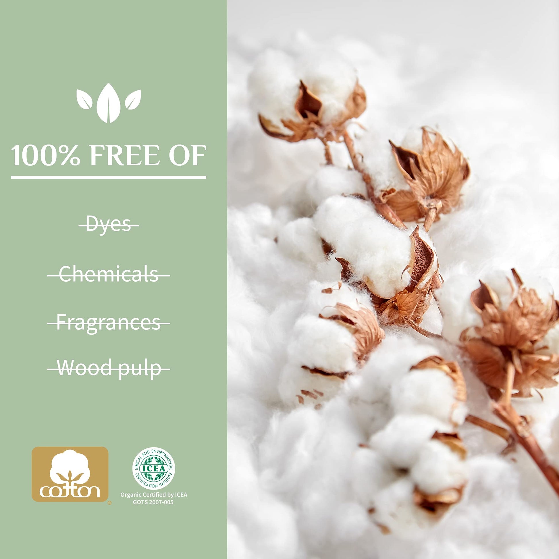Organyc 100% Certified Organic Cotton Tampons - Cardboard Applicator, Free from Chlorine, Perfumes OrganycBuy Supplements Australia