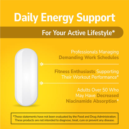 21st Century Niacinamide 500 mg Prolonged Release Tablets, 110 Count