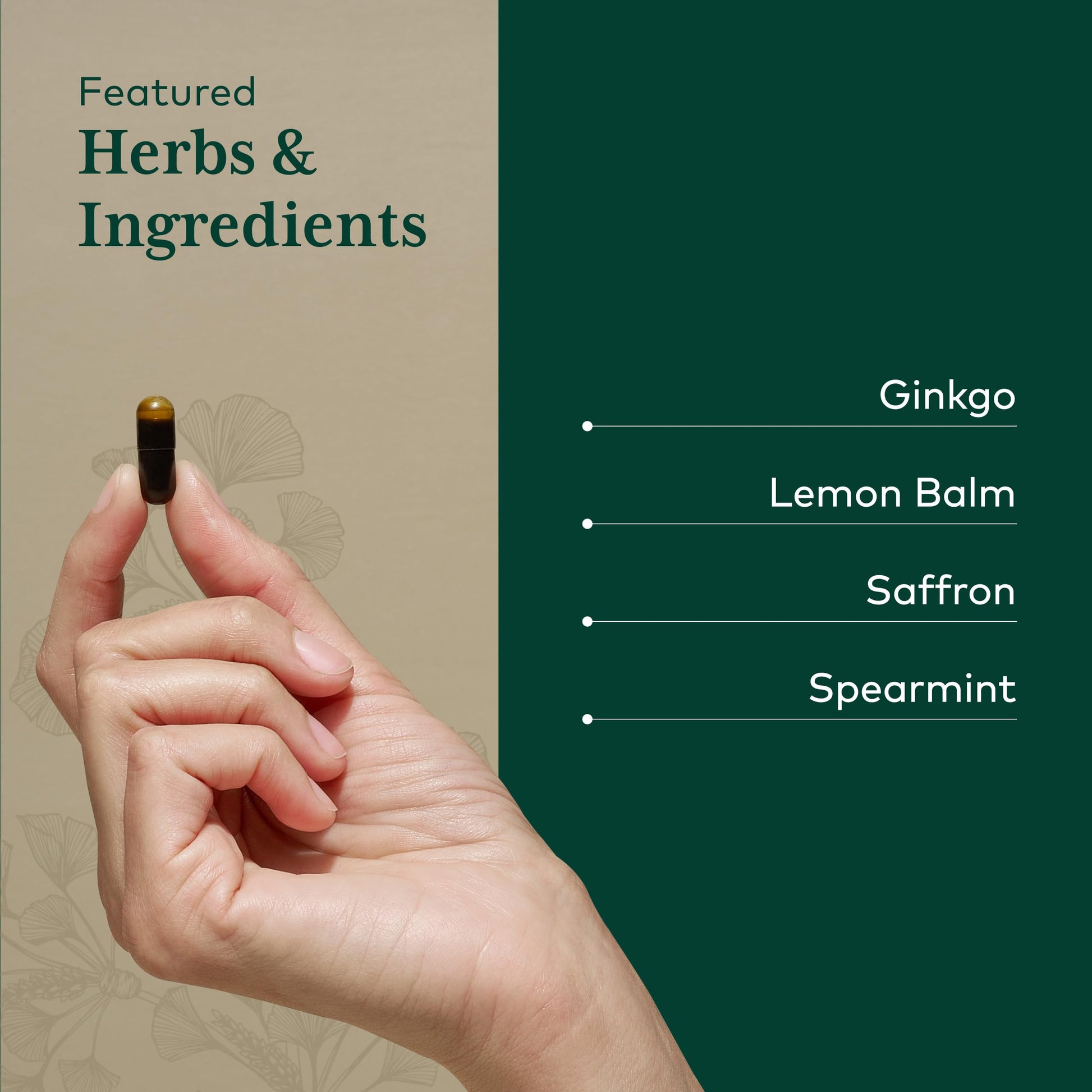 GAIA HERBS PRO Nootropic Focus - Brain Health Support Supplement* - Nootropic Supplement with Saffron, Ginkgo Leaf Extract & Lemon Balm - Vegan, Gluten-Free - 40 Liquid Phyto-Caps (20 Servings) Gaia Herbs PROBuy Supplements Australia