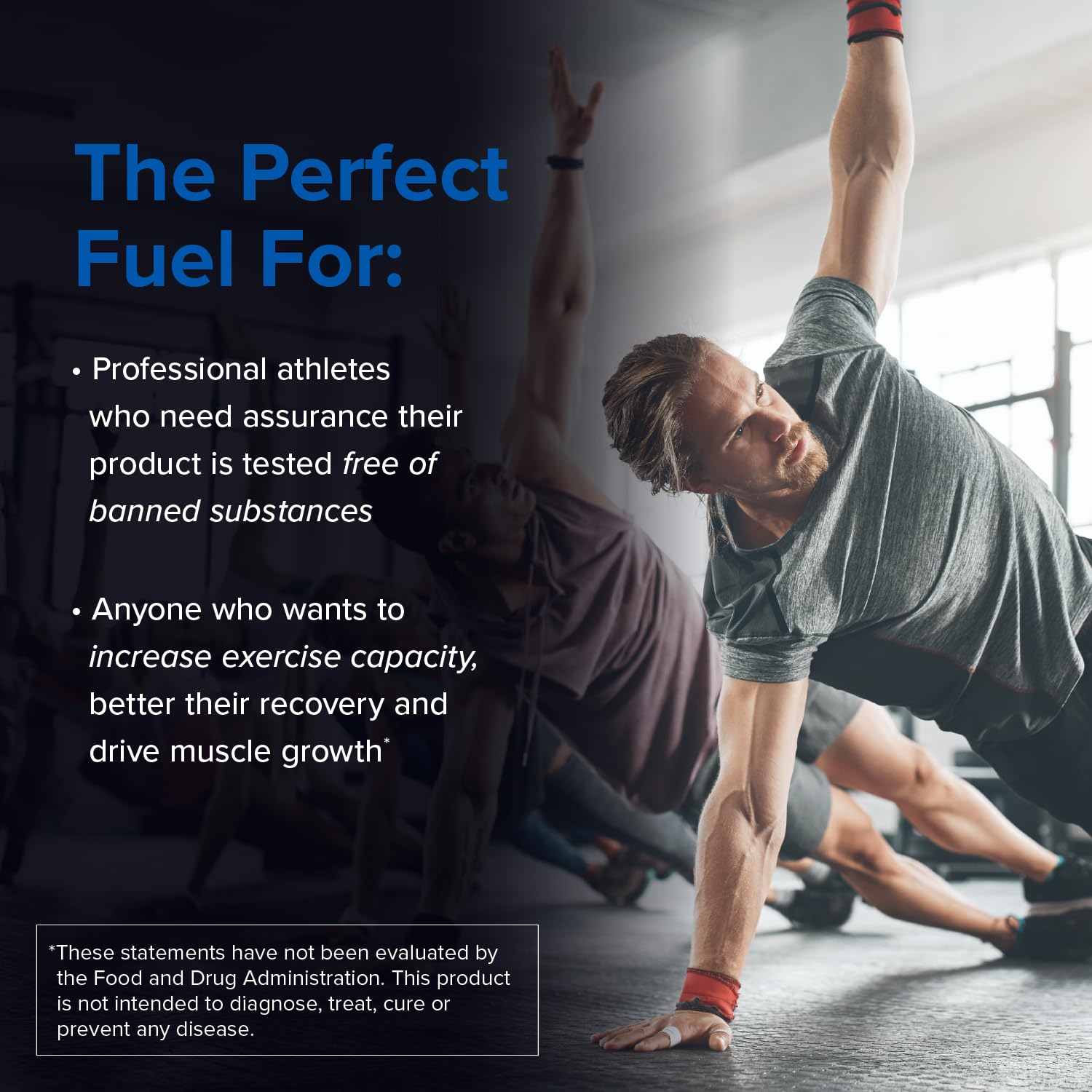 Designs for Sport Creatine Monohydrate Powder - NSF Certified for Sport Creatine Designs for SportBuy Supplements Australia