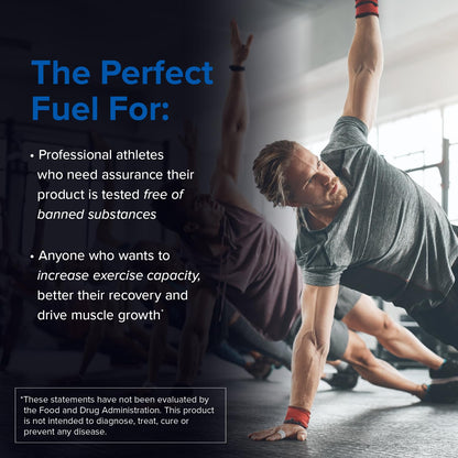 Designs for Sport Micronized Creatine Monohydrate Unflavored Powder - NSF Certified for Sport, 90 Servings, Supports Muscle Recovery, Brain Health, Pre and Post Workout Strength Designs for SportBuy Supplements Australia