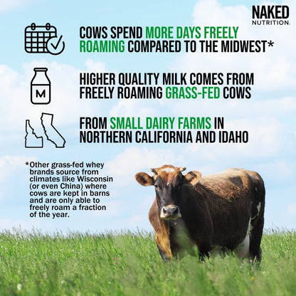 NAKED Nutrition Whey Vanilla Protein - All Natural Grass Fed Whey Protein Powder NAKEDBuy Supplements Australia