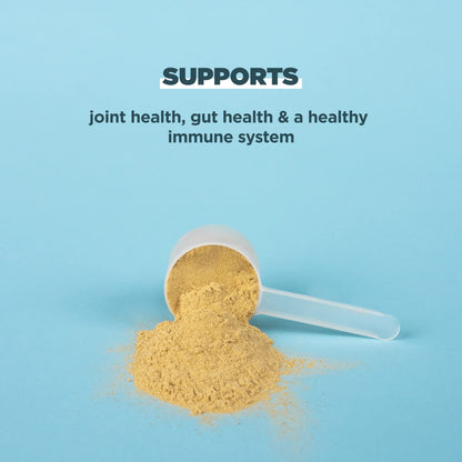 Ancient Nutrition Bone Broth Protein Powder, Pure Flavor, 20 Servings Size Ancient NutritionBuy Supplements Australia