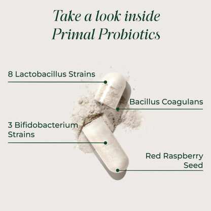 Primal Harvest Probiotics for Women & Men Daily Probiotic Supplement with 12 Strains for Gut & Digestive Health 30 Capsules Primal HarvestBuy Supplements Australia
