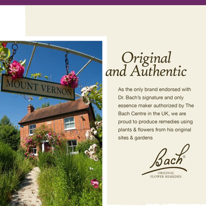 Bach Original Flower Remedies, Impatiens for Patience (Non-Alcohol Formula), Natural Homeopathic BachBuy Supplements Australia