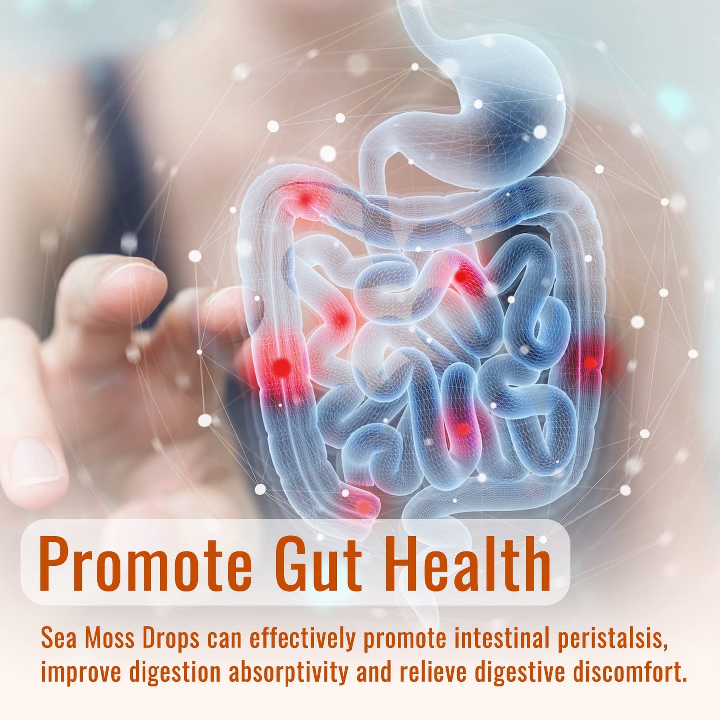 Sea Moss Liquid Drops: Organic Irish Sea Moss 2500mg with Turmeric, Bladderwrack dilibBuy Supplements Australia