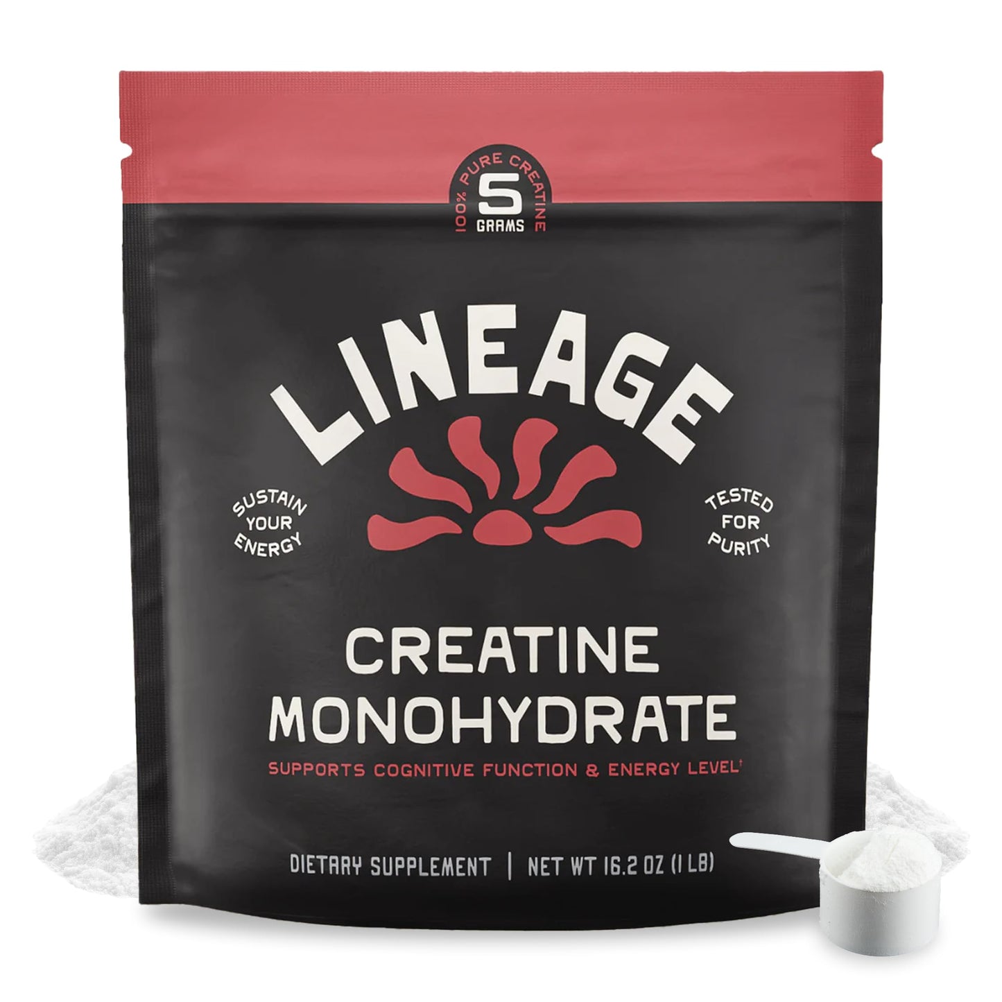 Lineage Provisions Micronized Creatine Monohydrate with Sea Salt - Micronized Creatine Powder for Training & Performance