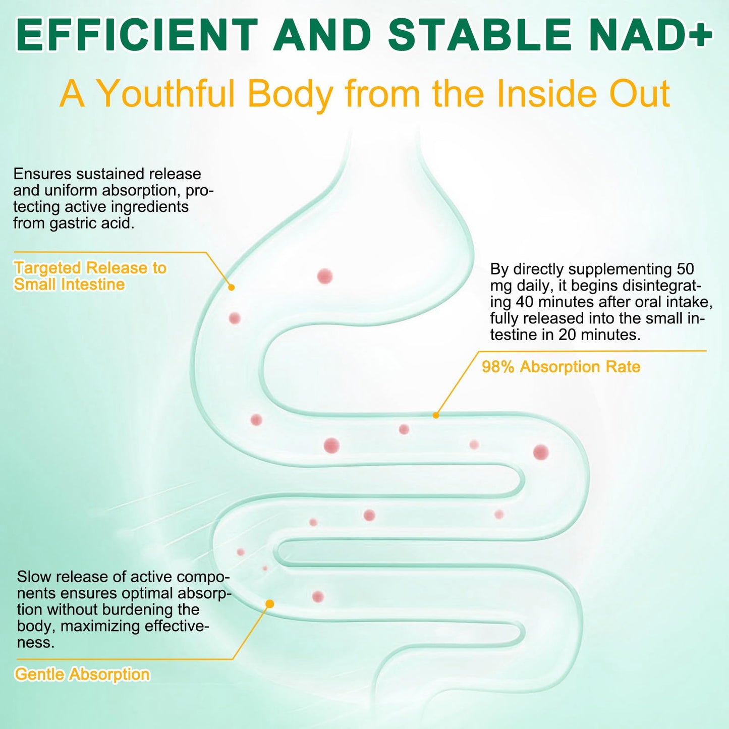 NAD Supplement 120 Capsules, Liposomal Nicotinamide Riboside, Resveratrol, Quercetin, NAD Nicotinamide Riboside Resveratrol 910mg for Women & Men, NAD Supplement for Anti Aging and Cell Regeneration RHBESTOKBuy Supplements Australia