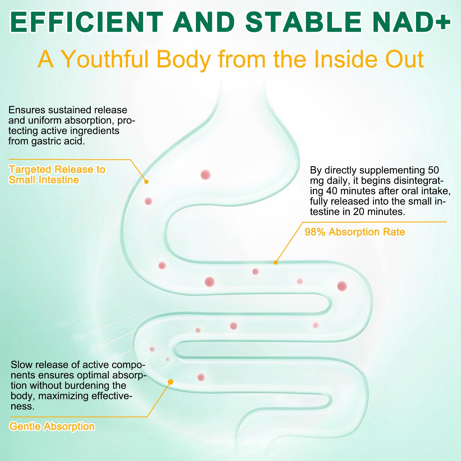 NAD Supplement 120 Capsules, Liposomal Nicotinamide Riboside, Resveratrol, Quercetin, NAD Nicotinamide Riboside Resveratrol 910mg for Women & Men, NAD Supplement for Anti Aging and Cell Regeneration RHBESTOKBuy Supplements Australia