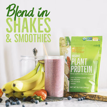 BetterBody Foods Organic Plant Based Protein Powder, 16g of Protein 24% DV, Vegan, Low Net Carbs, Gluten Free, Dairy Free, No Sugar Added, Soy Free, Non-GMO, 12.7 Ounces