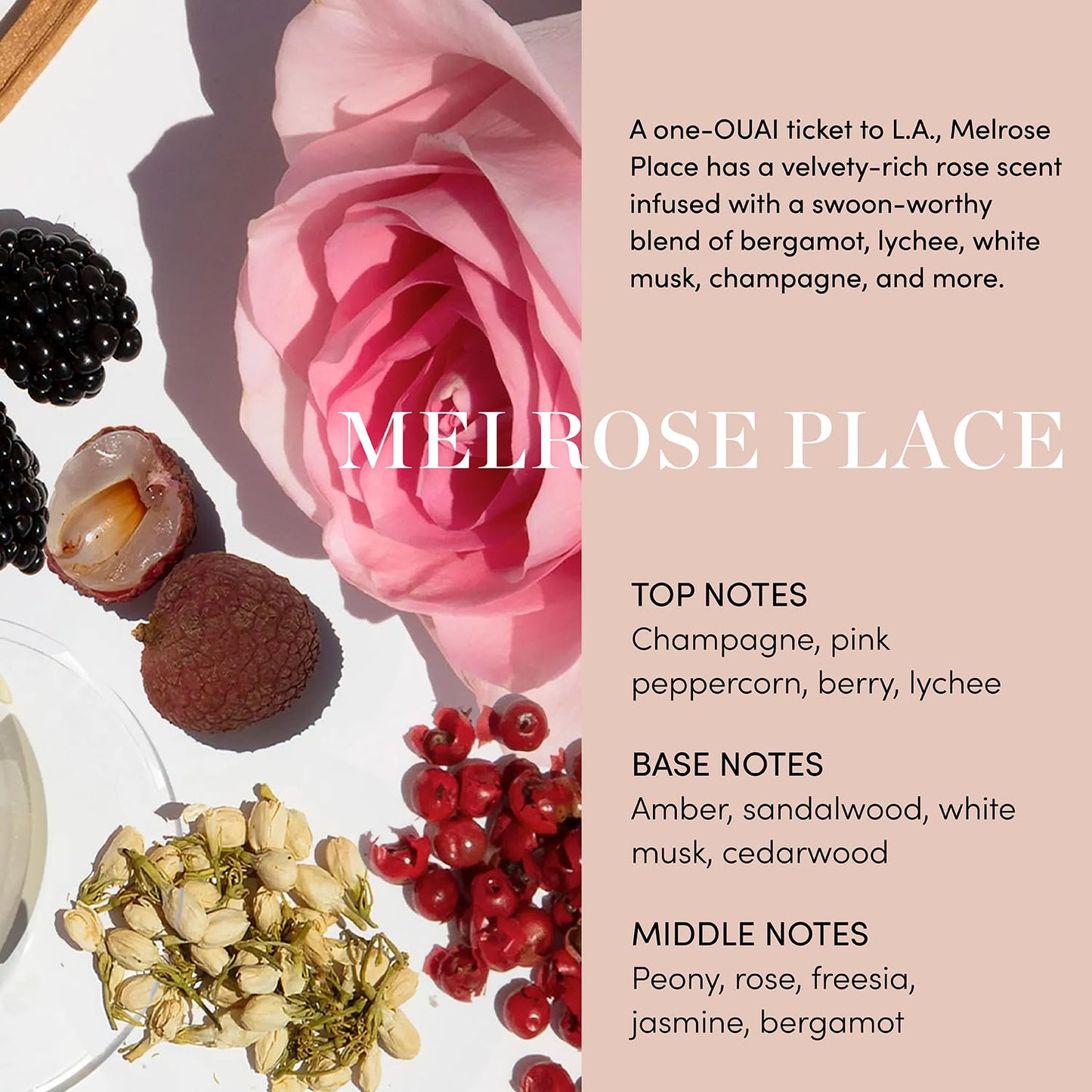 OUAI Scalp & Body Scrub, Melrose Place - Exfoliating Body Scrub with Sugar & Coconut Oil Blend for Smooth, Moisturized Skin - Gentle Scalp Exfoliator for Removing Product Build Up (8.8 Oz) OUAIBuy Supplements Australia