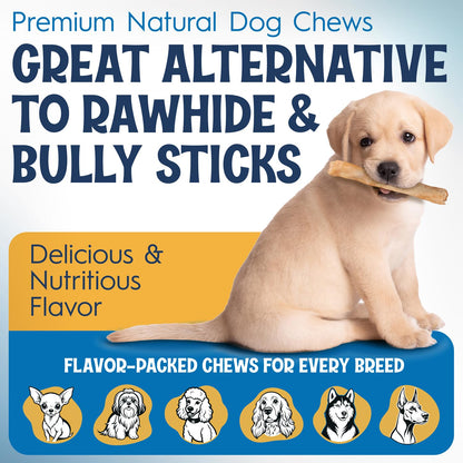 FETCHERONI 6" Collagen Sticks for Dogs – Low Odor Long-Lasting Bully Stick & Rawhide Alternative, Single Ingredient Beef Bone, High Protein Dental Treat, Vet Approved, Improves Joint Health – 5 Pack FETCHERONIBuy Supplements Australia
