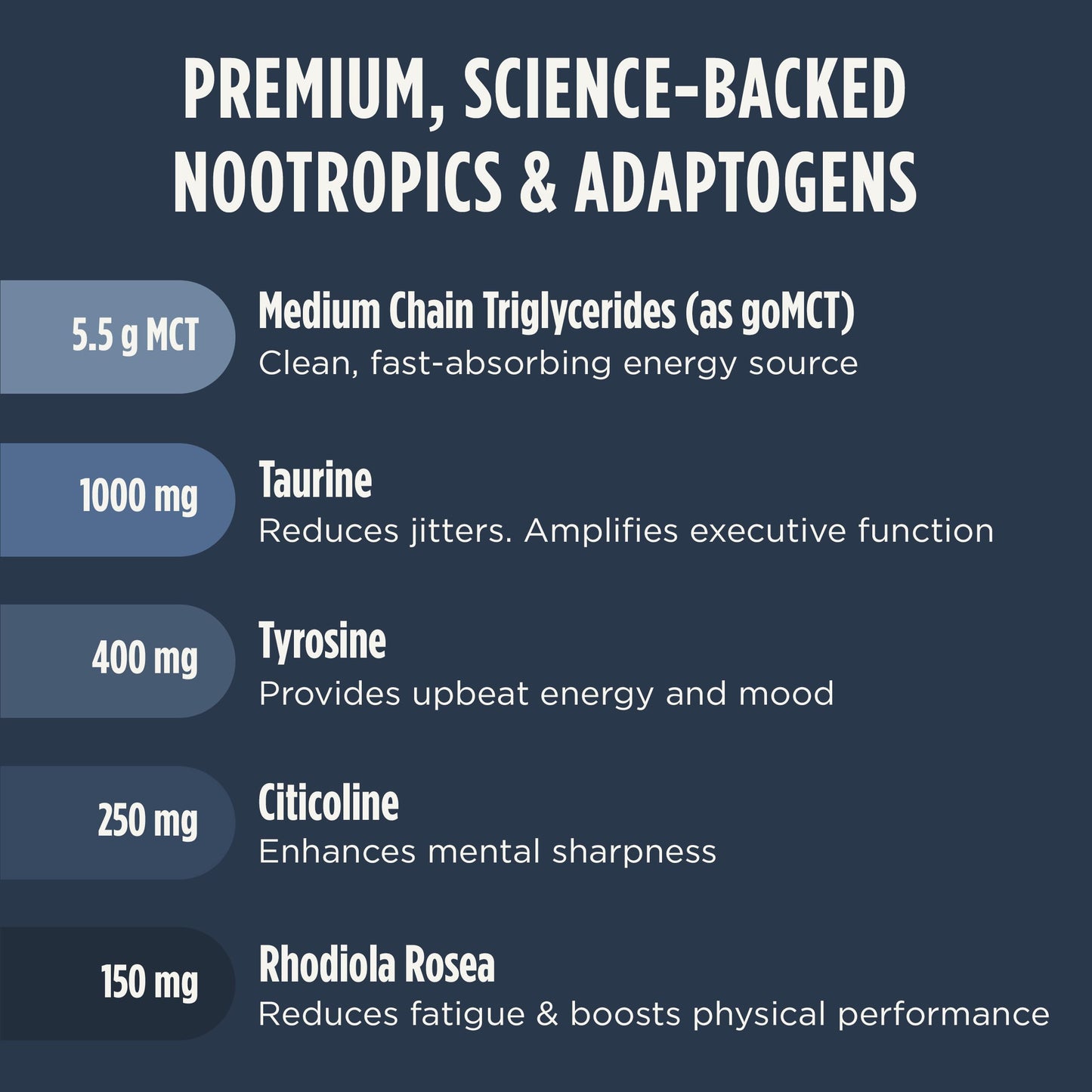 LIFESTACKS Focus Coffee Creamer for Energy & Clarity - MCT Powder + Nootropics + Adaptogens - Boost Productivity Without Jitters or Crash - Keto, Vegan, 0 Sugar - with Taurine, L-Tyrosine, Rhodiola LIFESTACKSBuy Supplements Australia