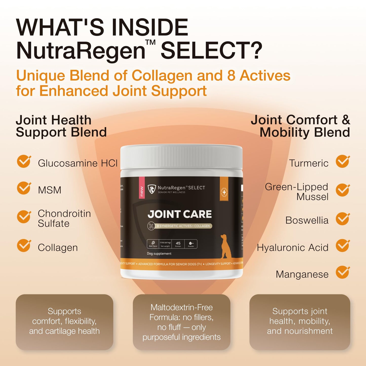 NutraRegen Select Senior Dog Joint Supplement 45 Scoops | Natural Glucosamine Chondroitin for Dogs with Collagen | Hip and Joint Powder | 7.7 Oz NutraRegenBuy Supplements Australia