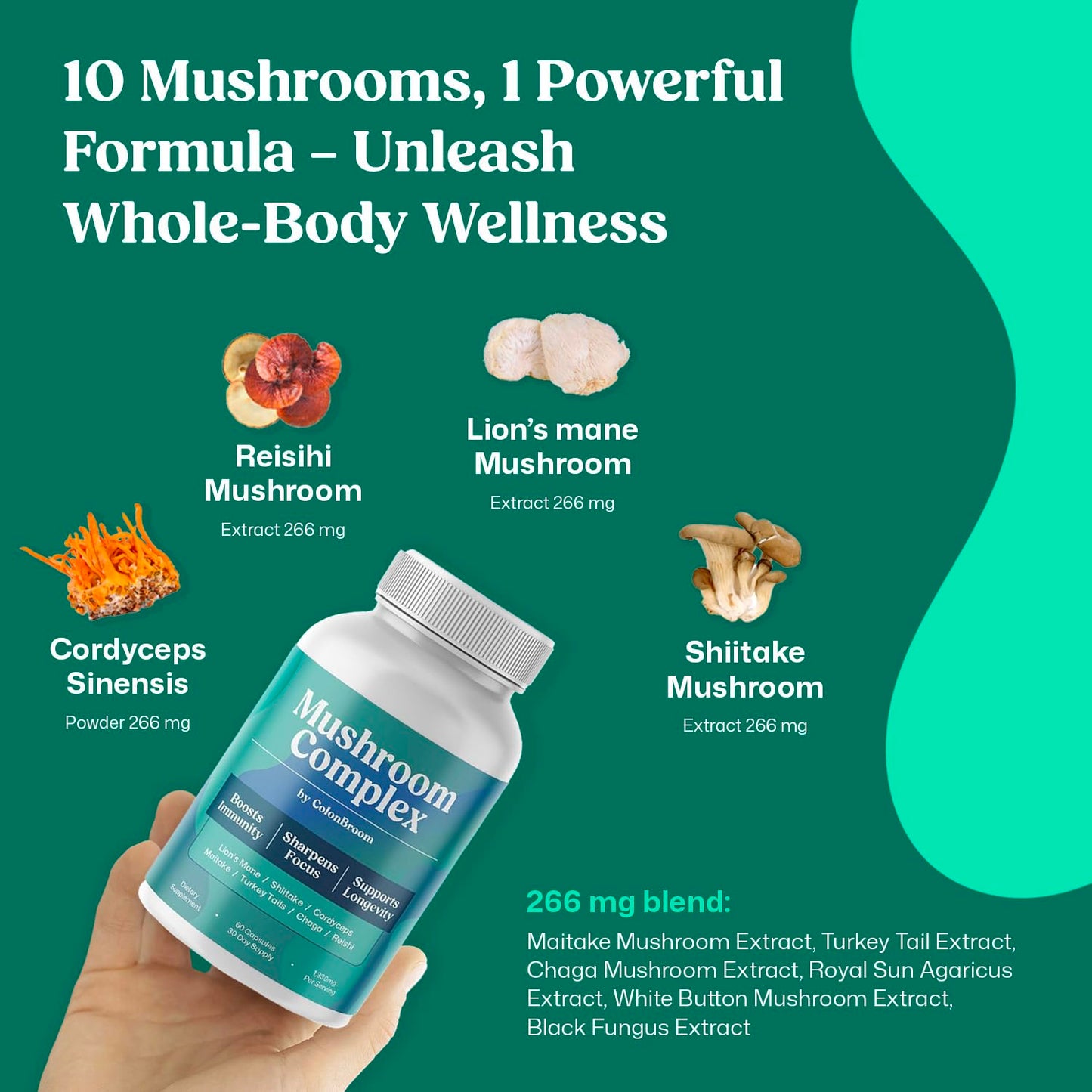 ColonBroom Mushroom Complex, Powerful Mushroom Blend with Cordyceps, Reishi, Shiitake, Lion’s Mane Extract for Energy, Immunity, Stress Relief & Cognitive Health - 60 Capsules, 30 Day Supply ColonBroomBuy Supplements Australia