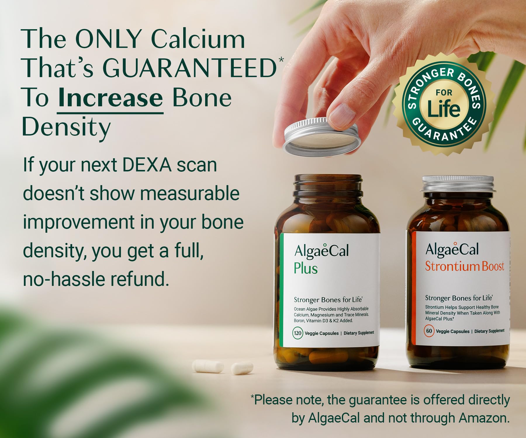 AlgaeCal - Bone Builder Pack for Bone Density Increase, Clinically Supported Plant Based Calcium Supplement & Strontium, Vitamins K2 (100mg), D3 (1600 IU), Magnesium & 16 Essential nutrients ALGAECALBuy Supplements Australia