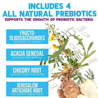 Probiotics 100 Billion CFU Per Serving - 10 Probiotic Strains & Prebiotics - Digestive Gut Health, Immune Support & Occasional Constipation, Gas & Bloating - Daily Supplement For Adults - 60 Capsules Nature's NutritionBuy Supplements Australia