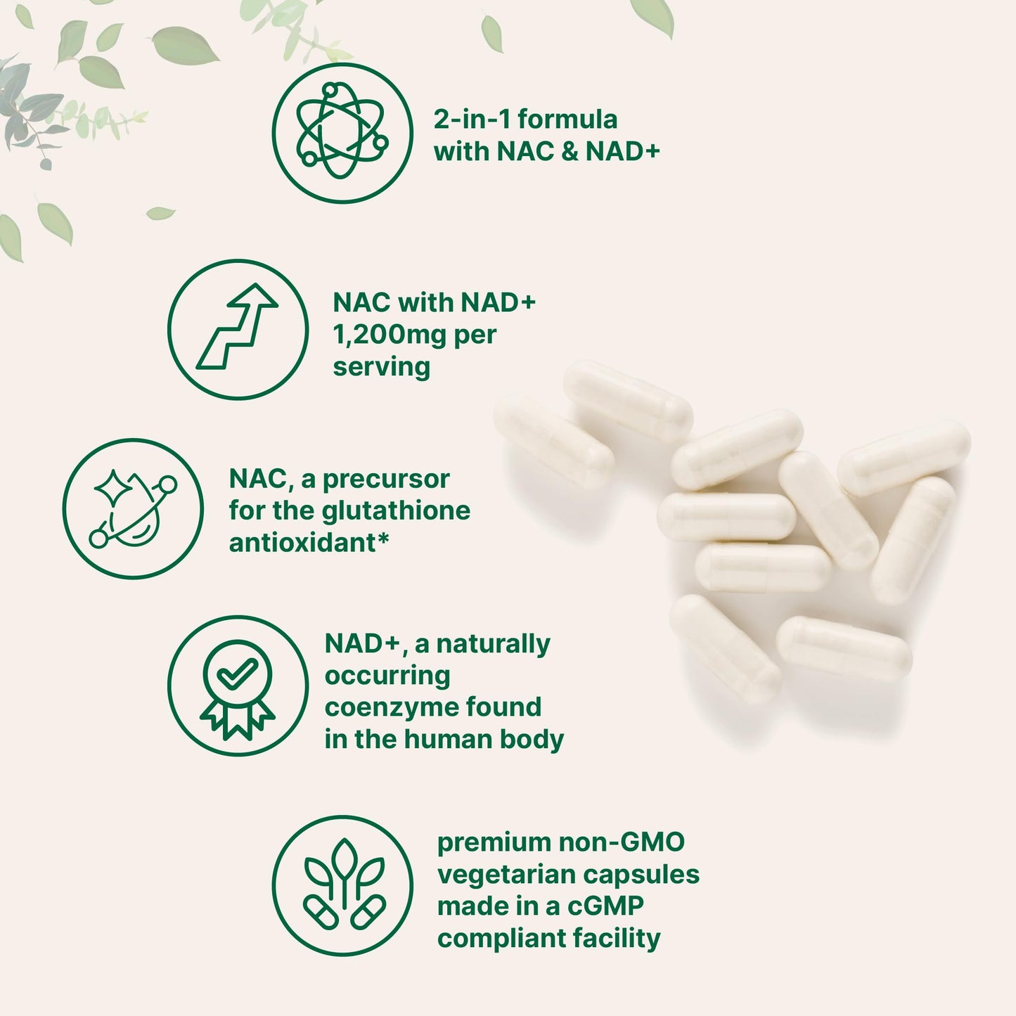 Micro Ingredients NAC with NAD+, 240 Vegetarian Capsules | 1,200 mg Per Serving | 2-in-1 N-Acetyl-L-Cysteine with Nicotinamide Adenine Dinucleotide