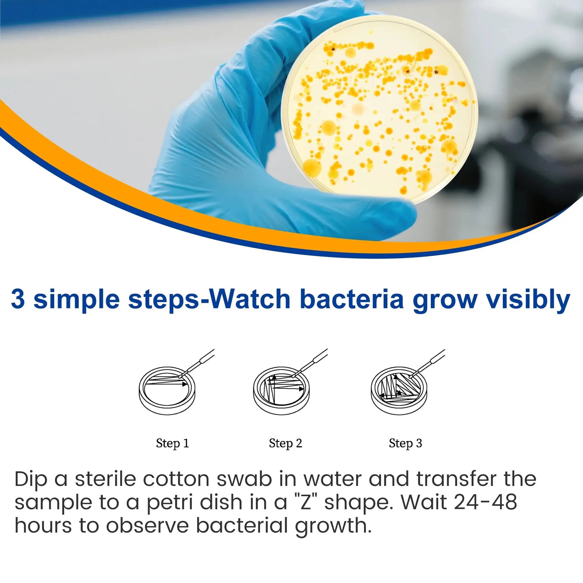 Bacteria Test Kits for Drinking Water - 12 Tests Detect Coliform, E.coli & All Bacteria | Home Quality Testing Kit for Well, Tap, Pool, Hot Tub & City Water | Easy DIY Tester with Free Lab Analysis FunhaostarBuy Supplements Australia