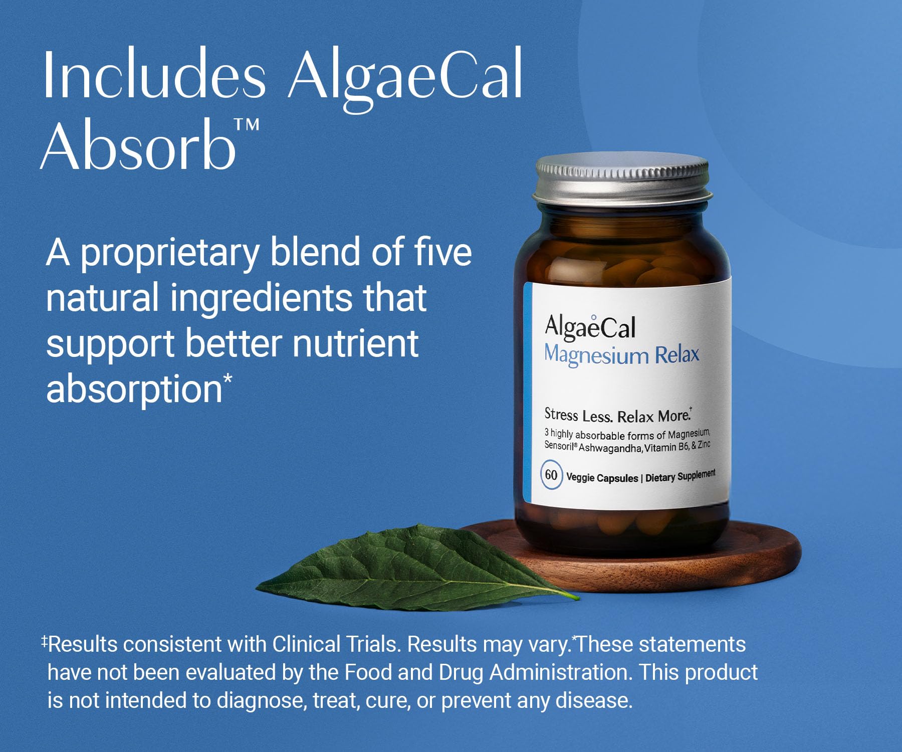 AlgaeCal Magnesium Relax™ - Chelated Magnesium with Ashwagandha for Sleep & Stress - Glycinate, Malate, Citrate - Sleep, Mood, & Cortisol Support (4 Months Supply) ALGAECALBuy Supplements Australia