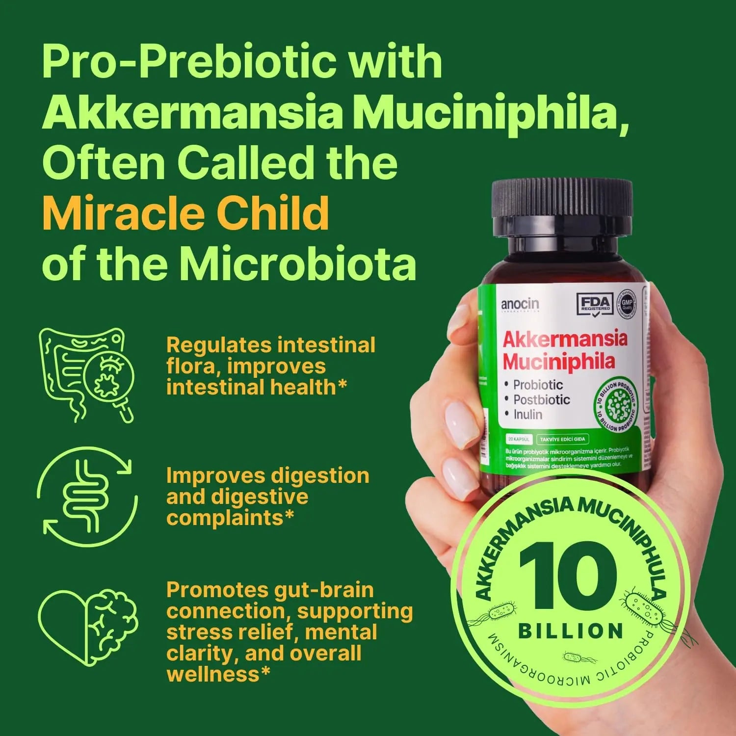 anocin Akkermansia Muciniphila + Probiotic, Postbiotic & Inulin - Gut Health Supplement for Digestion, Immune Support - 10 Billion CFU, Vegan & Gluten-Free anocinBuy Supplements Australia