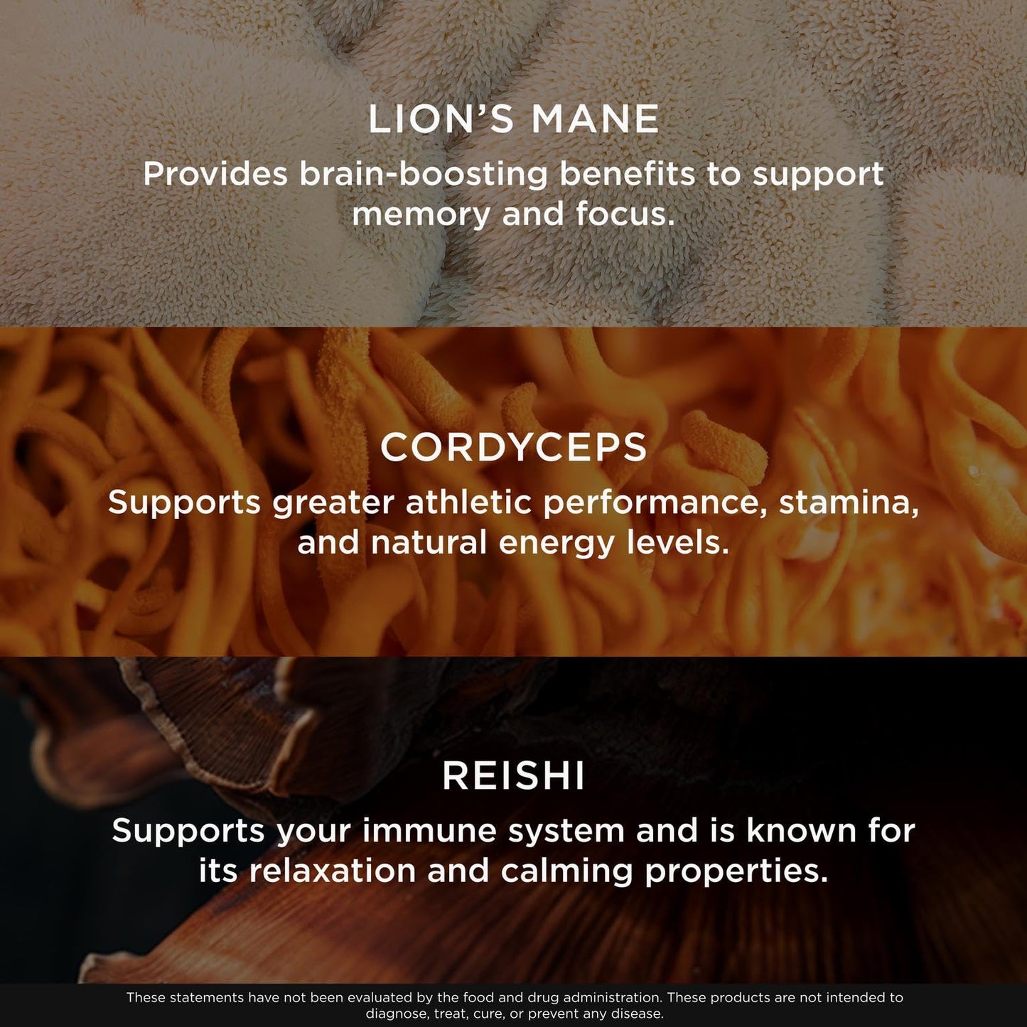 Genius Mushroom Supplement - Full-Spectrum Lion’s Mane, Cordyceps, Reishi -Daily Brain Nootropic for Energy, Focus, Memory & Overall Wellness - 180 Capsules – Organic for Mental Clarity & Performance The Genius BrandBuy Supplements Australia
