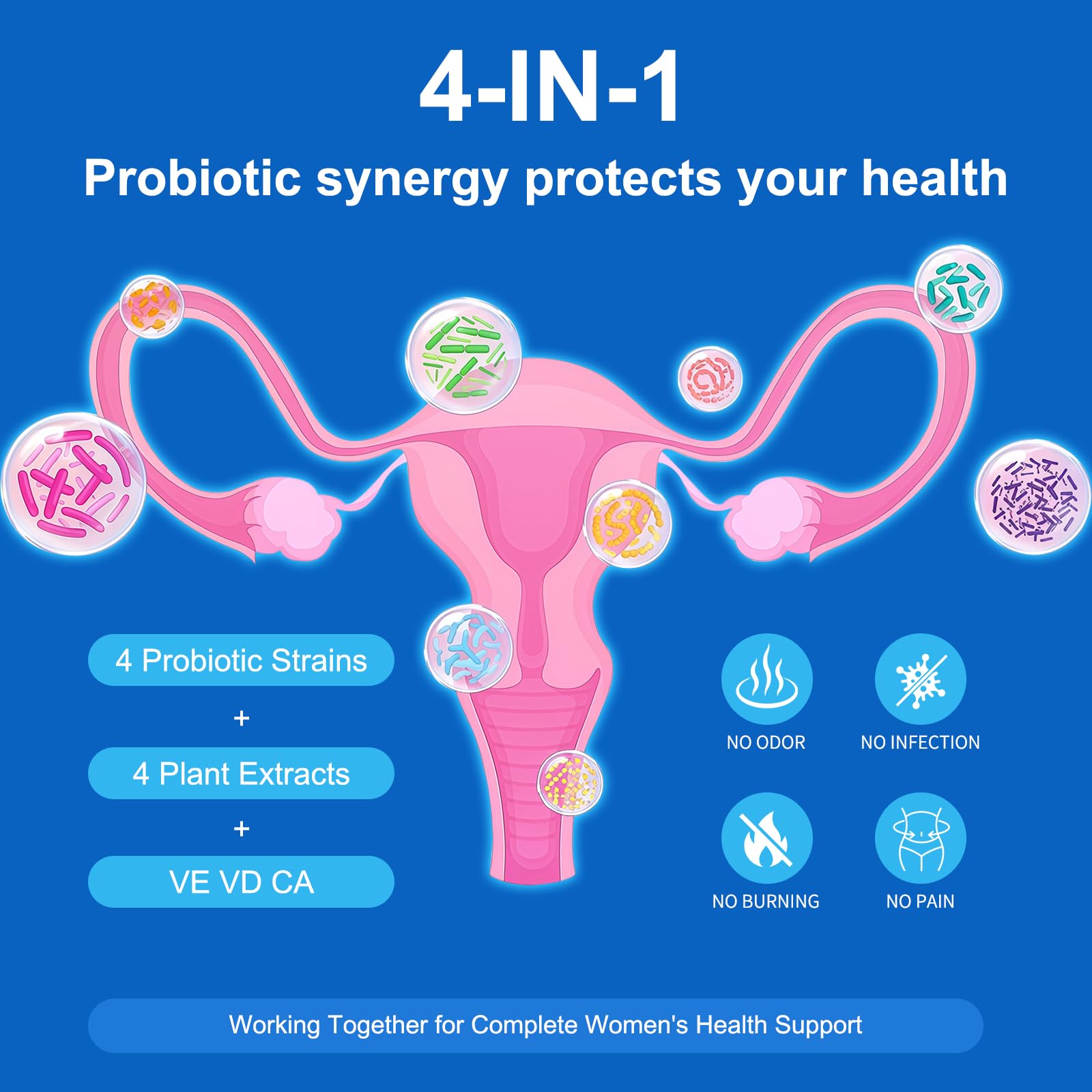 Natprime Menopause Supplements for Women - 60 Billion CFU Akkermansia Probiotic for Hormonal Balance, Night Sweats, Hot Flashes Relief, Gut Health, Mood Support & URO Viginal probiotic - 60 Ct 30 Day NatprimeBuy Supplements Australia