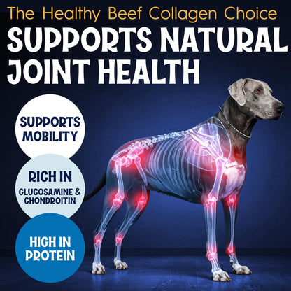 FETCHERONI 6" Collagen Sticks for Dogs – Low Odor Long-Lasting Bully Stick & Rawhide Alternative, Single Ingredient Beef Bone, High Protein Dental Treat, Vet Approved, Improves Joint Health – 5 Pack FETCHERONIBuy Supplements Australia