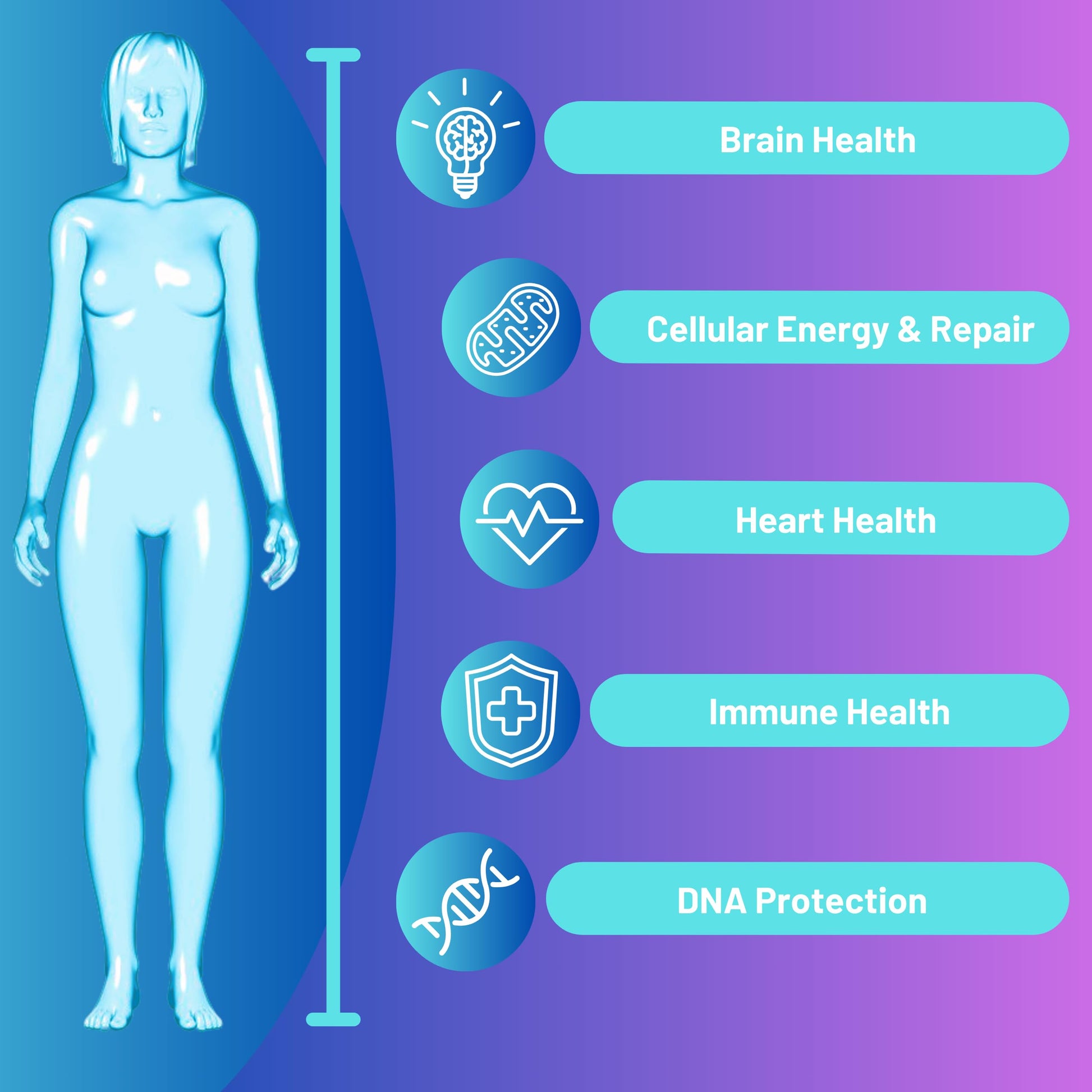 Advanced Bionetix NAD Supplement with Nicotinamide Riboside Plus Resveratrol, Quercetin, Betaine w/RiboYOUNG™ for True Anti Aging Advanced BionetixBuy Supplements Australia