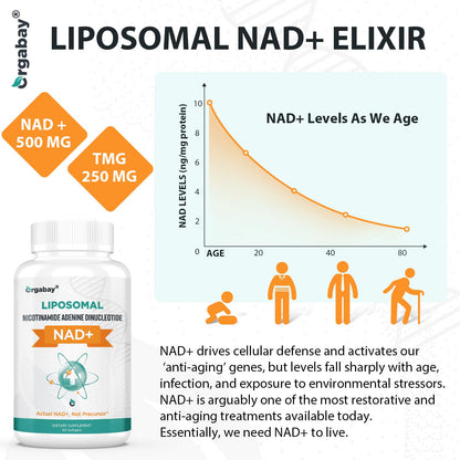 Orgabay Liposomal NAD+ Supplement 500 mg, High Absorption, Boost NAD+ with TMG 250 mg, Actual NAD Plus More Efficient Than Nicotinamide Riboside, Support Cellular Energy, Healthy Aging | 60 Softgels OrgabayBuy Supplements Australia
