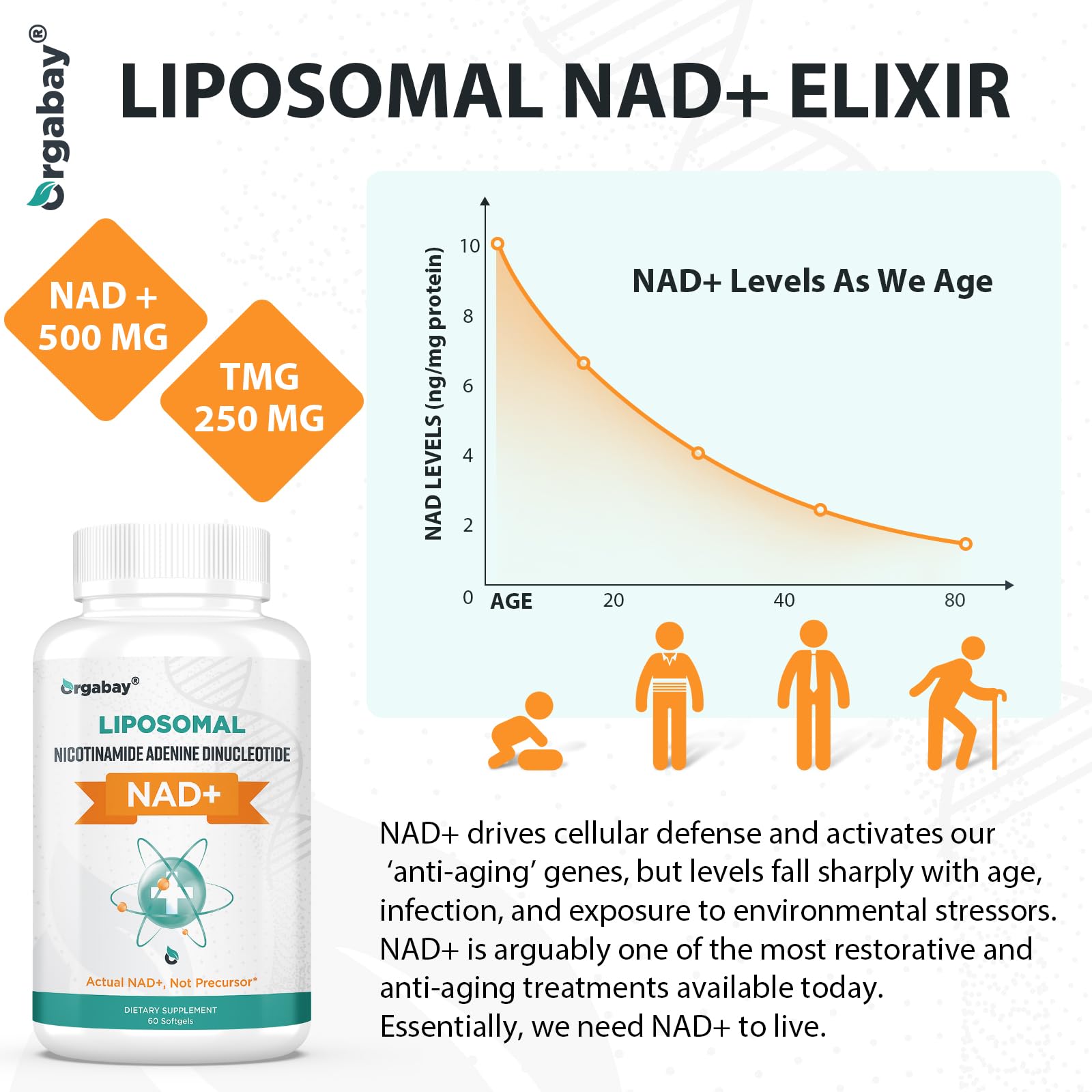 Orgabay Liposomal NAD+ Supplement 500 mg, High Absorption, Boost NAD+ with TMG 250 mg, Actual NAD Plus More Efficient Than Nicotinamide Riboside, Support Cellular Energy, Healthy Aging | 240 Softgels OrgabayBuy Supplements Australia