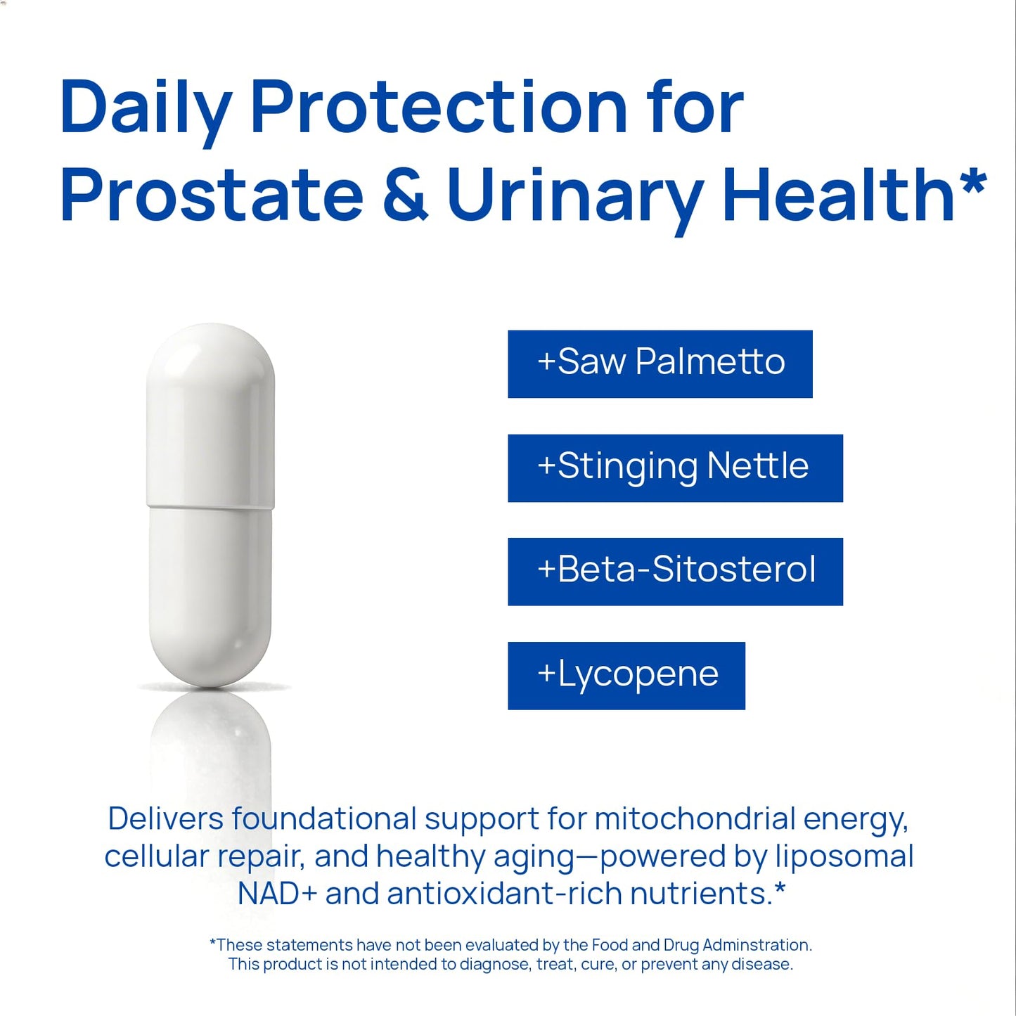 Liposomal NAD Supplement for Men – NMN Supplement Nitric Oxide Prostate Health Supplements with Resveratrol, CoQ10, L Citrulline and Lycopene for Anti-Aging & Cellular Energy Support 60 Capsules SelerbBuy Supplements Australia