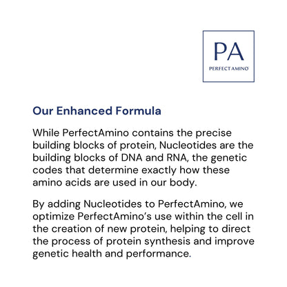 BodyHealth PerfectAmino Powder - EAA Powder for Pre and Post Workout - Amino Acid Energy Drink for Men and Women to Support Lean Muscle and Recovery -